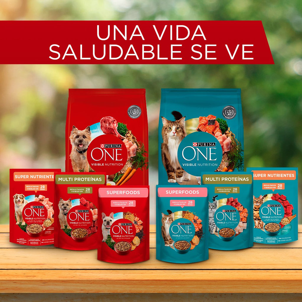 Purina ONE Gatito 16x500g