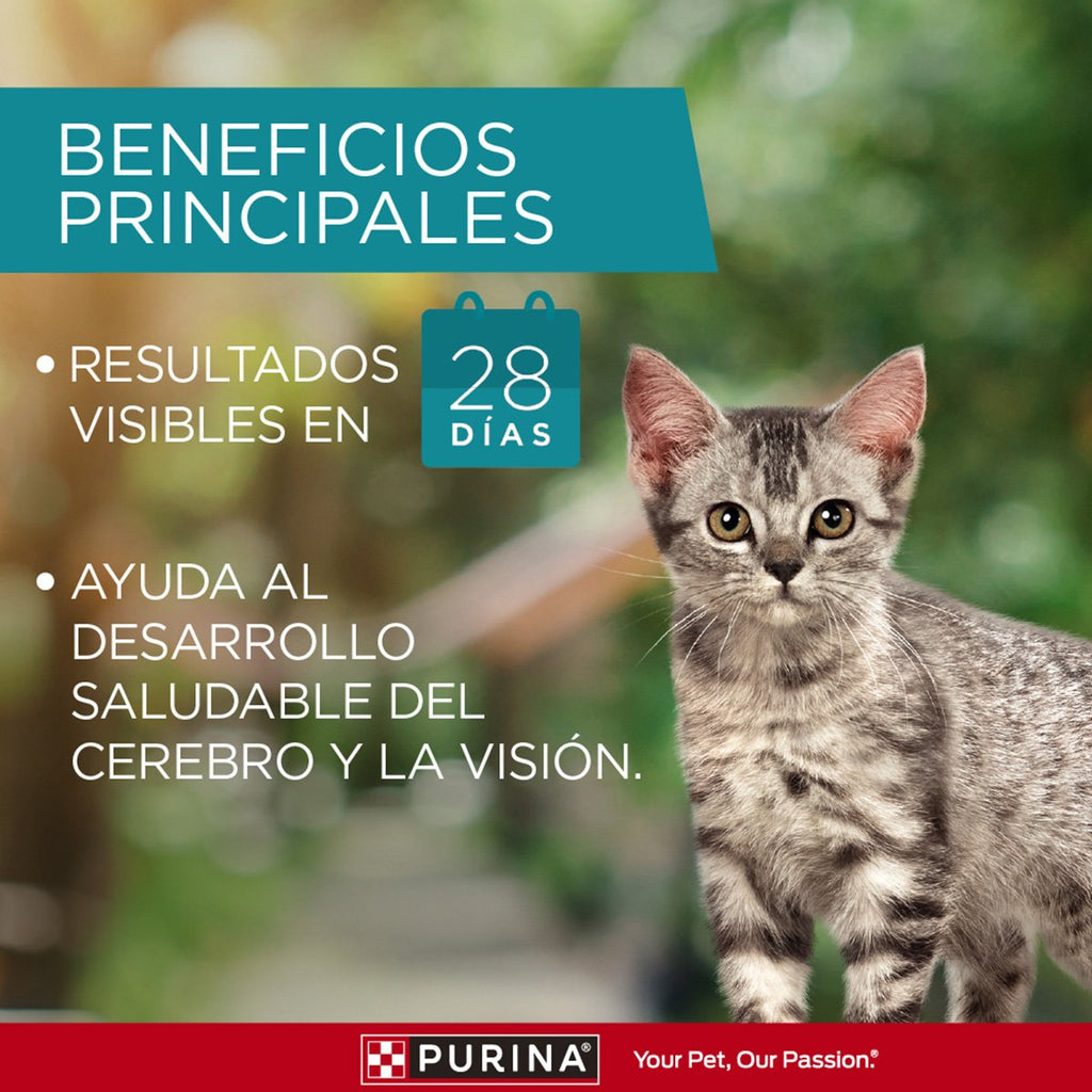 Purina ONE Gatito 6x2kg