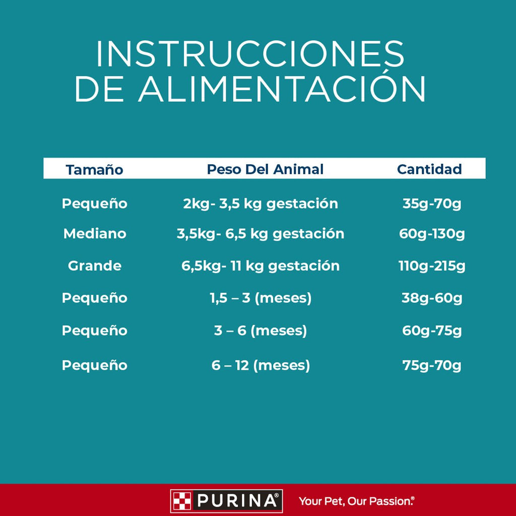 Purina ONE Gatito 6x2kg