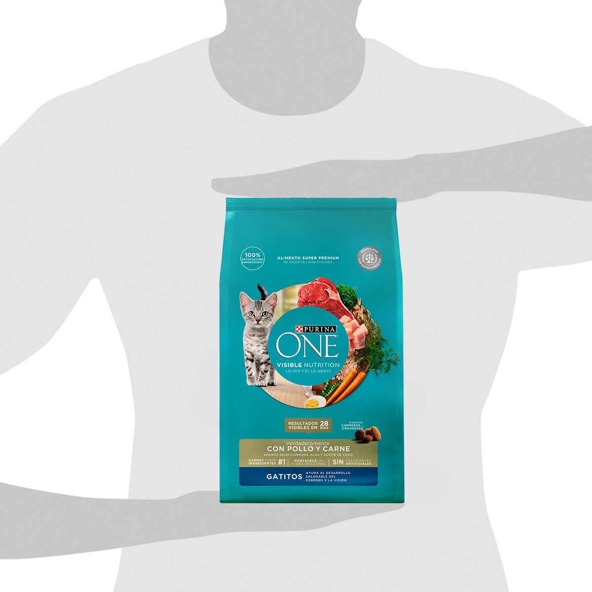 Purina ONE Gatito 6x2kg