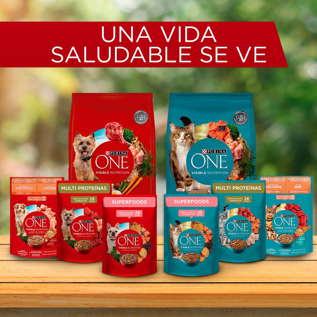 Purina ONE Gato Salmon 16x500g