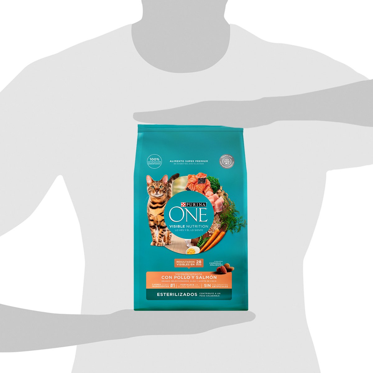 Purina ONE Esterilizado Salmon 6x2kg