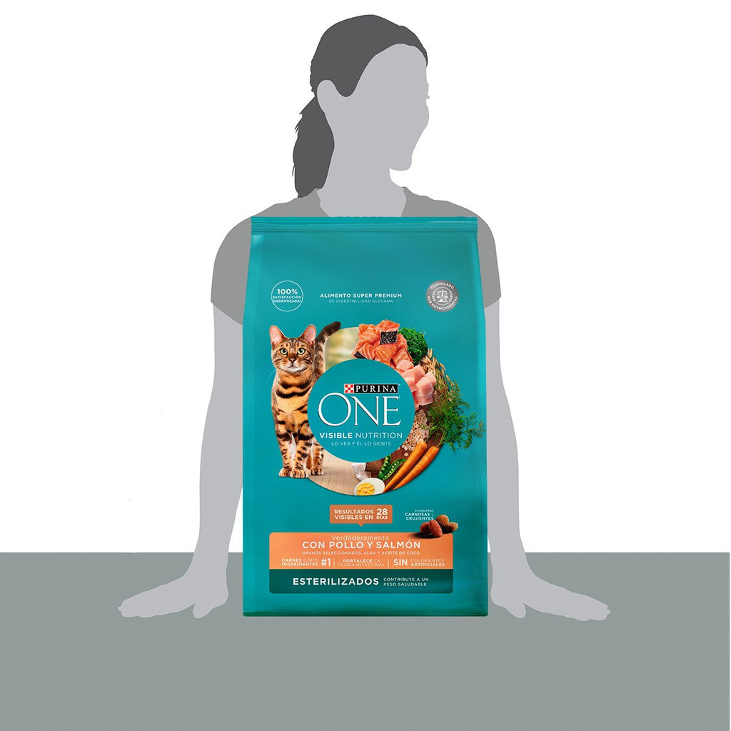 Purina ONE Esterilizado Salmon 6kg