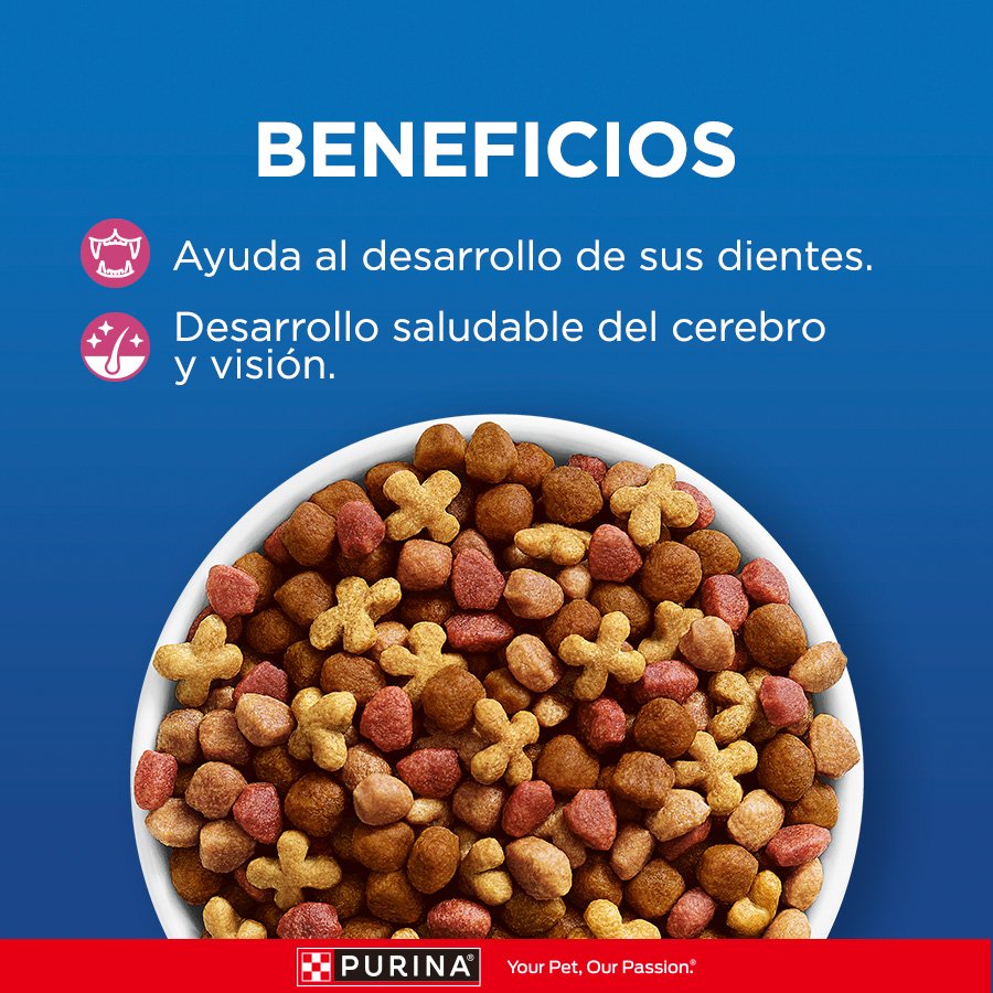 Cat Chow CHOW Gatitos 12x500g