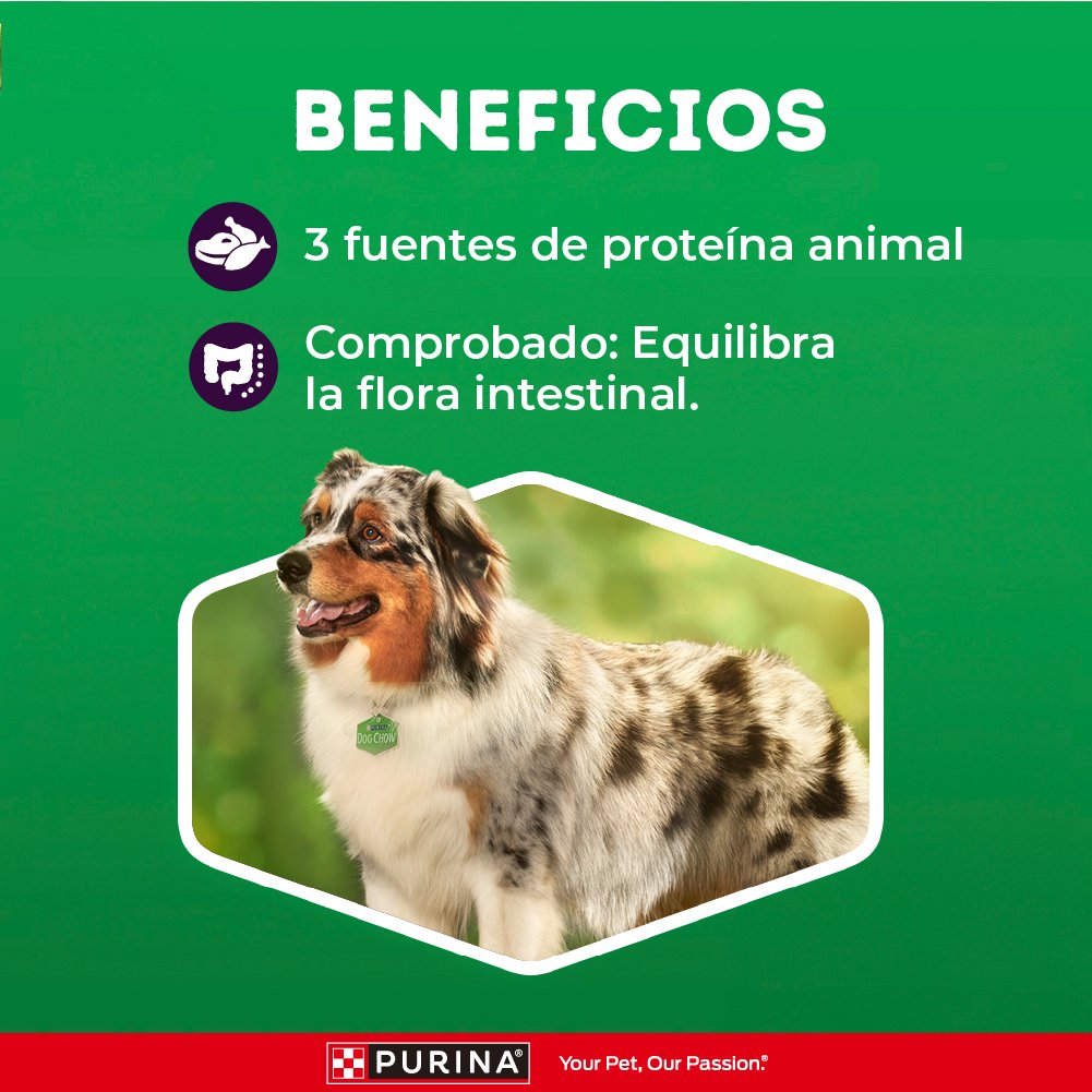 Dog Chow DCHOWADL TripProtnTdT SinColorante8kg CO