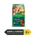 Dog Chow CHOW ADLTS Sel ProtnCordero 6x2kg CO