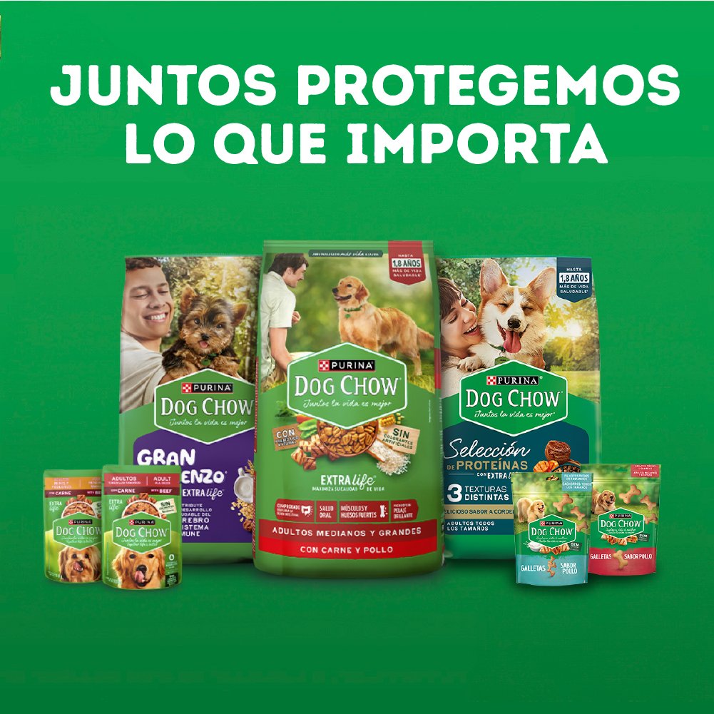 Dog Chow CHOW ADLTS Sel ProtnCordero 6x2kg CO