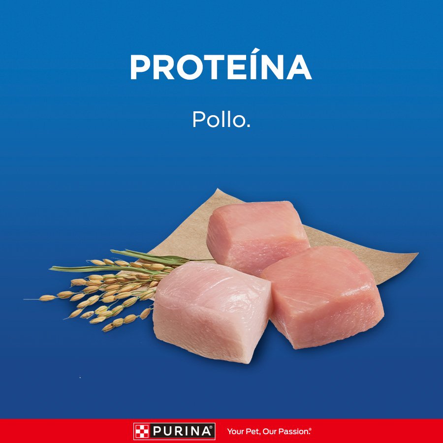 Cat Chow CHOW Gatitos Pollo 15x85g N1 XI
