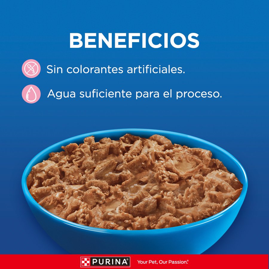 Cat Chow CHOW Gatitos Pollo 15x85g N1 XI