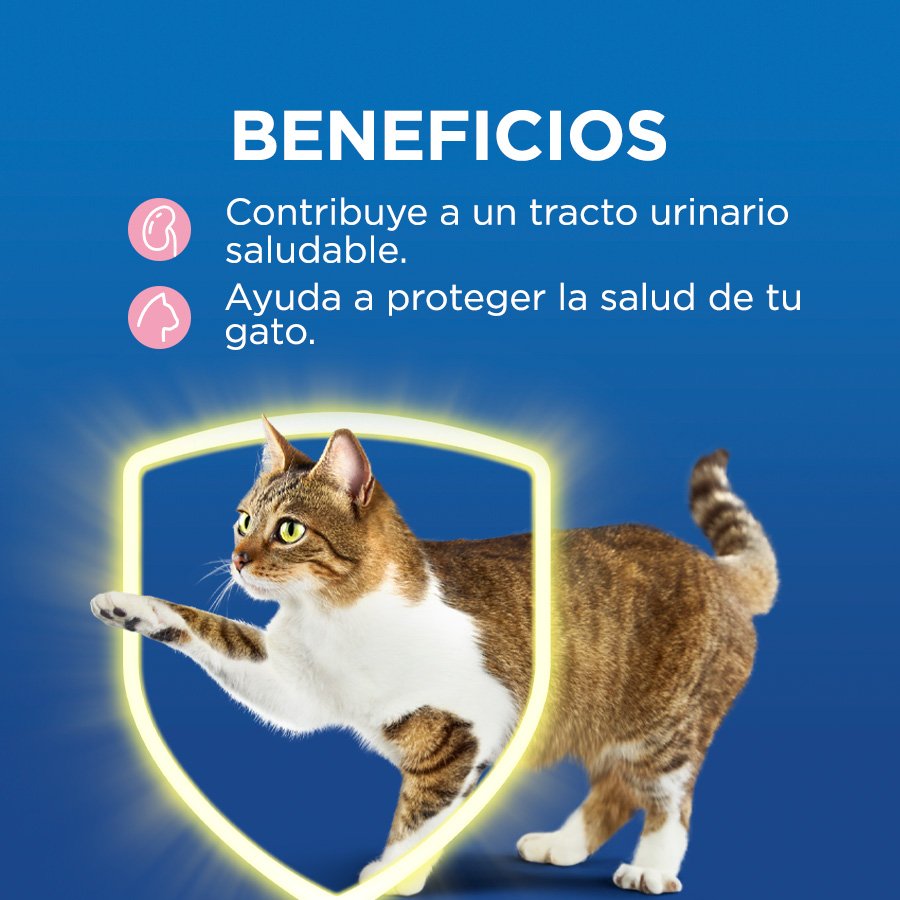 Cat Chow CHOW Gatitos Pollo 15x85g N1 XI