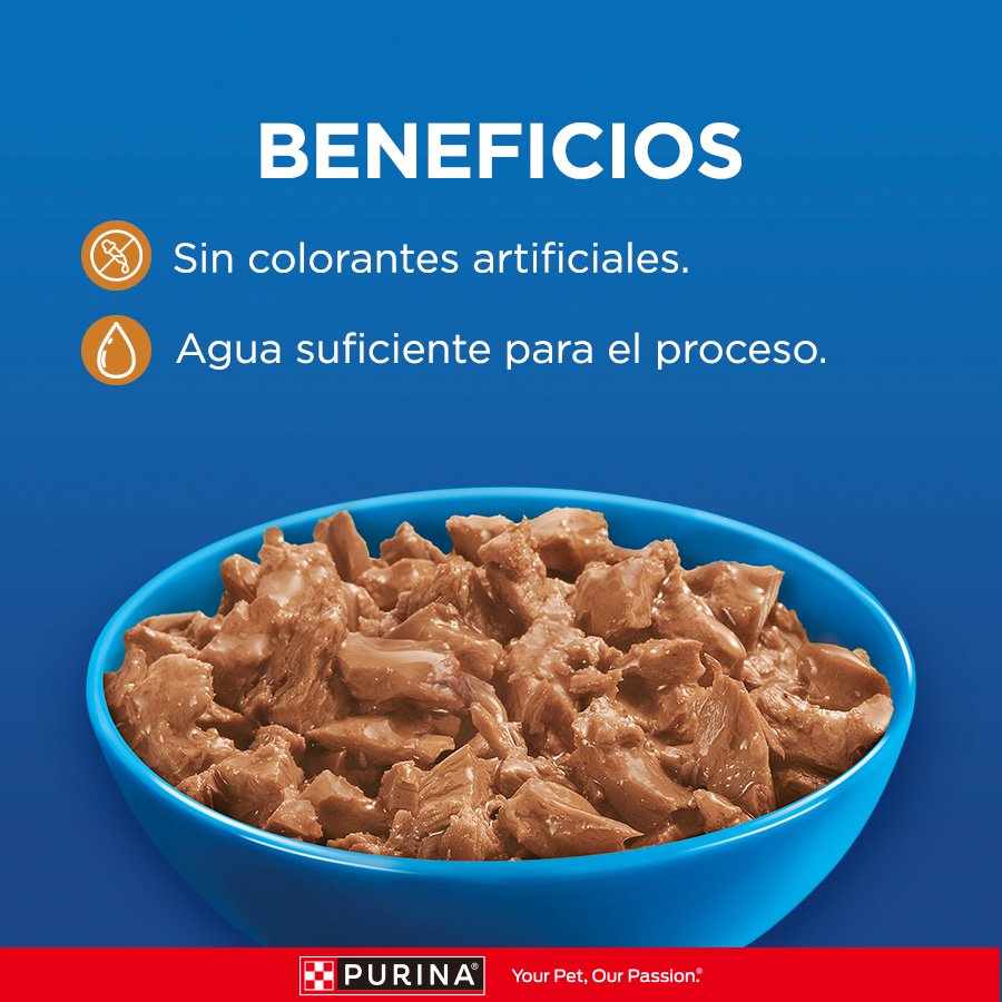 Cat Chow CHOW Adultos Pollo 15x85g N1 XI