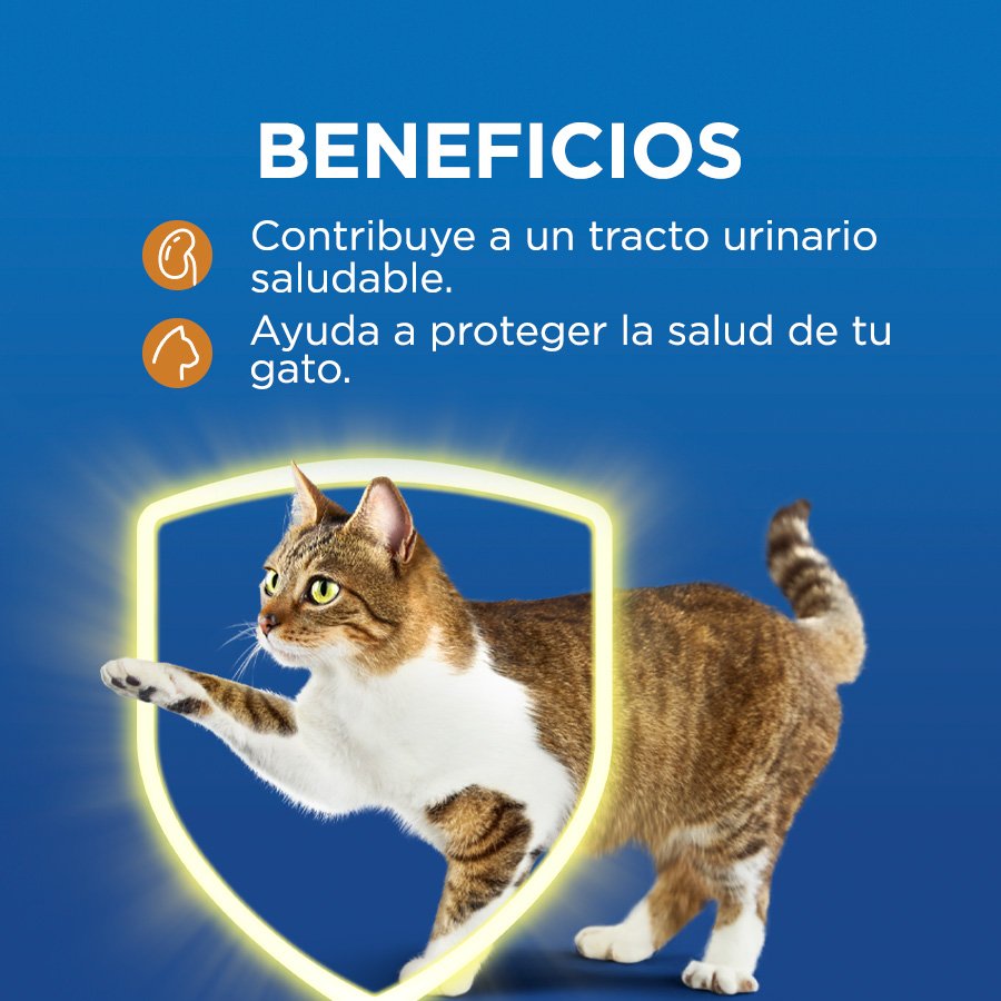 Cat Chow CHOW Adultos Pollo 15x85g N1 XI