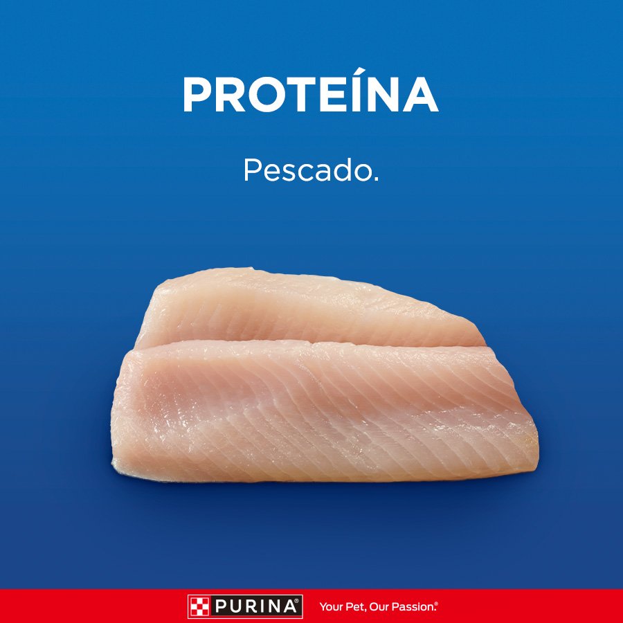 Cat Chow CHOW Adultos Pescado 15x85g N1 XI