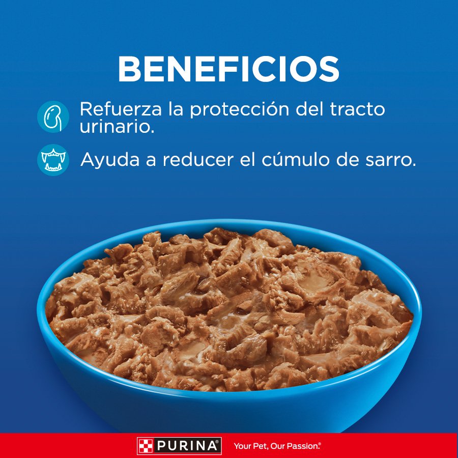 Cat Chow CHOW Adultos Pescado 15x85g N1 XI
