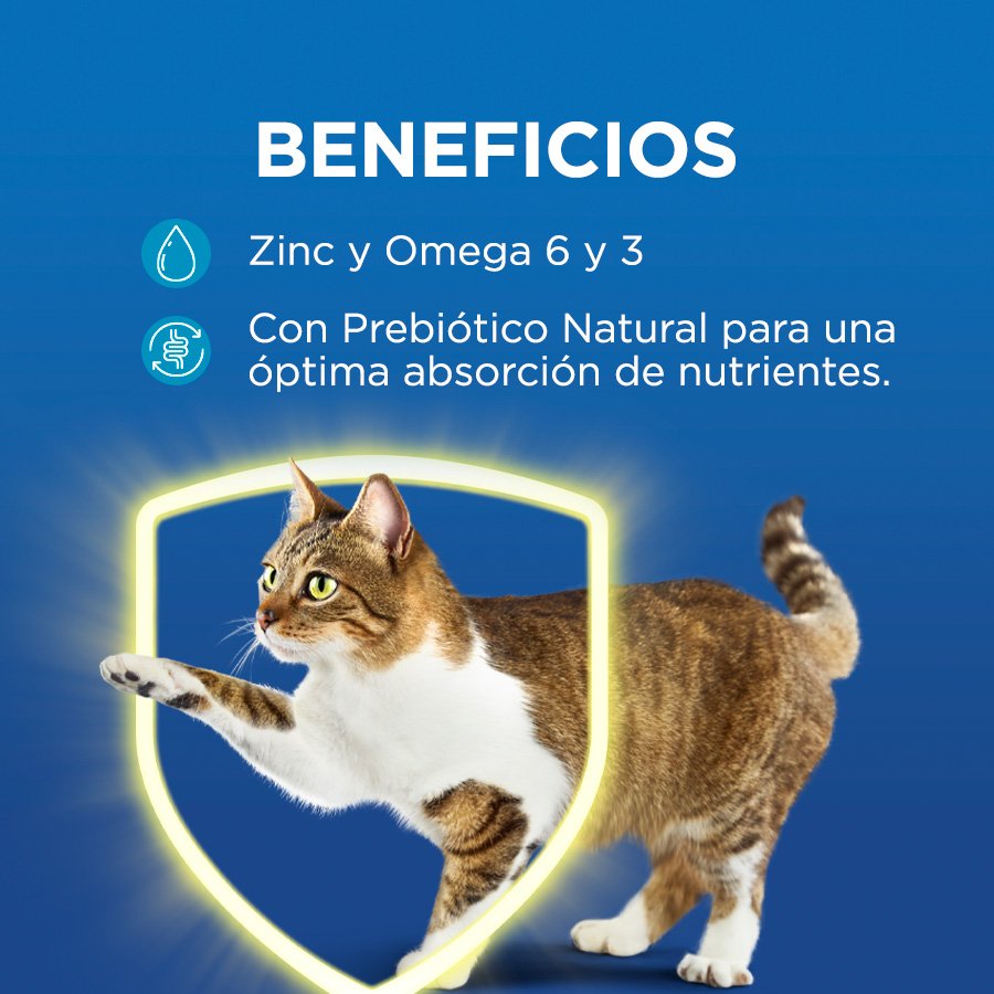Cat Chow CHOW Adultos Pescado 15x85g N1 XI