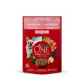 Purina ONE Perros Superfoods AdtYCchr 15x85gXI