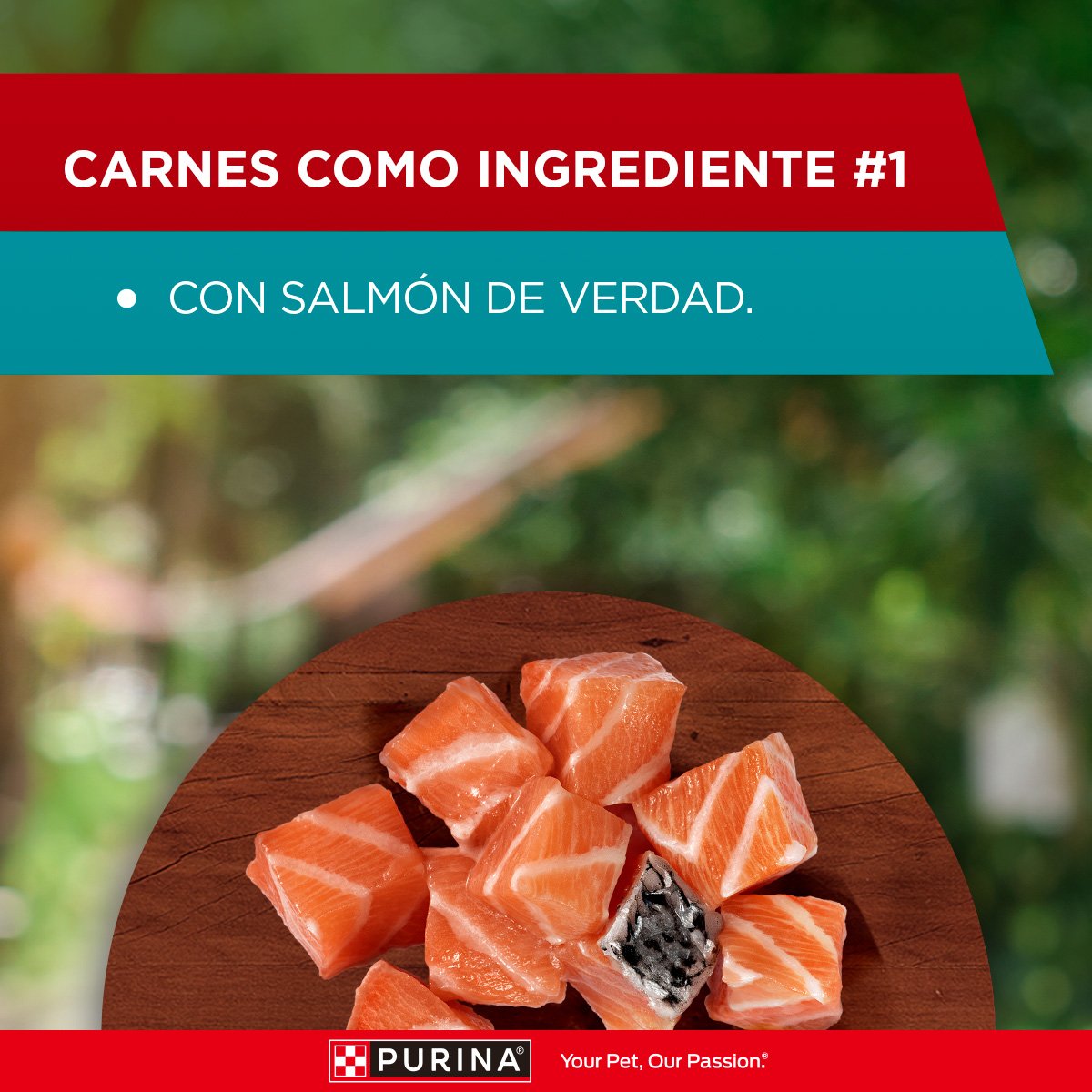 Purina ONE Perros Superfoods AdtYCchr 15x85gXI