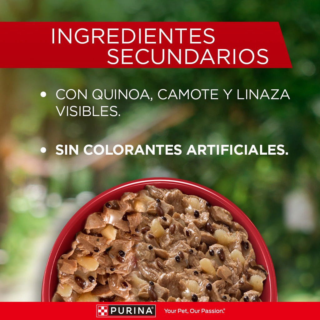 Purina ONE Perros Superfoods AdtYCchr 15x85gXI