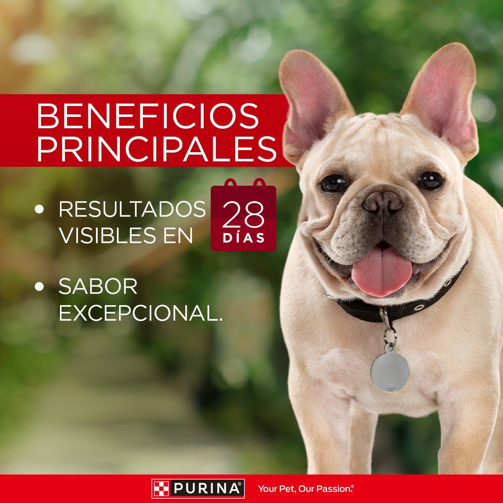 Purina ONE Perros Superfoods AdtYCchr 15x85gXI