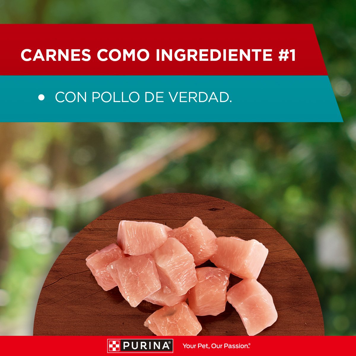 Purina ONE Perros Super Nutr AdtYCchr15x85gXI