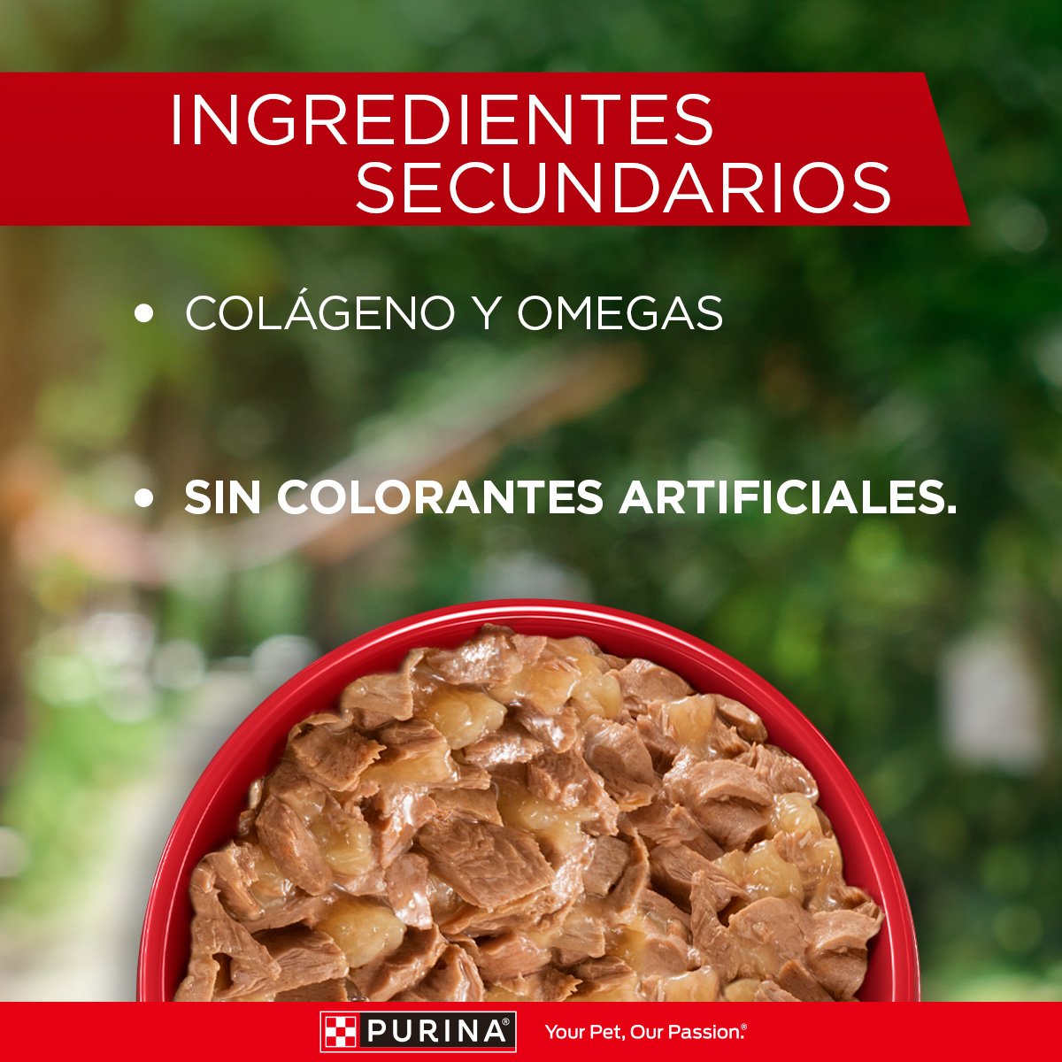 Purina ONE Perros Super Nutr AdtYCchr15x85gXI