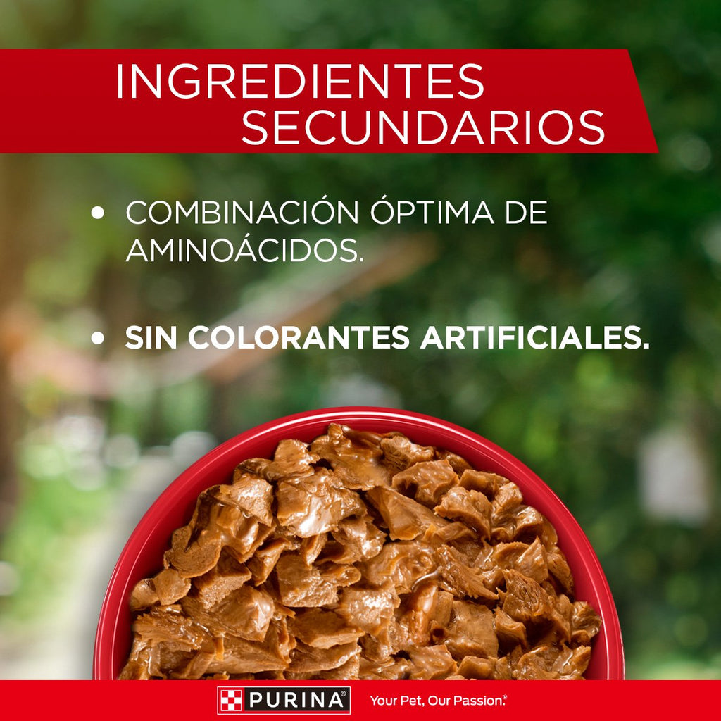 Purina ONE Perros Multi Protn AdtYCchr 15x85gXI