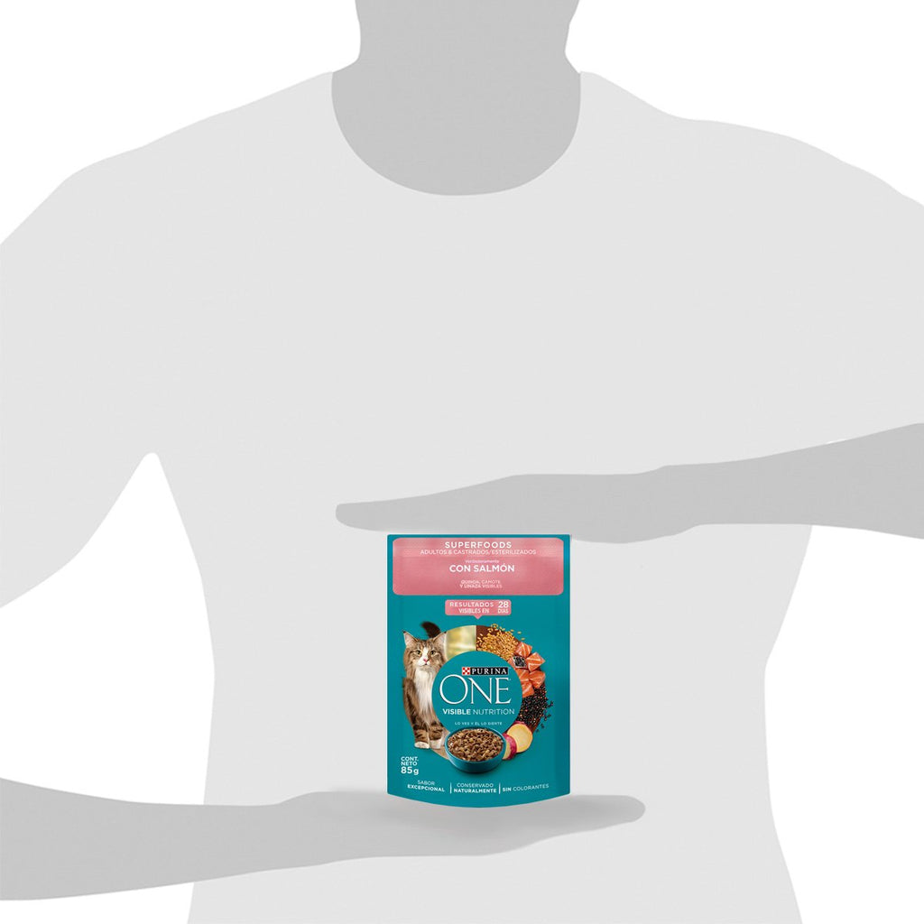 Purina ONE Gatos Superfoods AdtYEstlz 15x85gXI