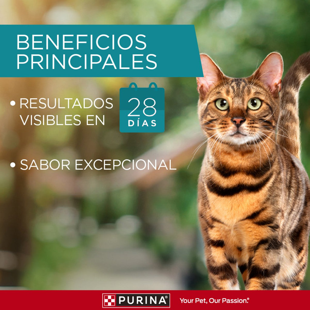 Purina ONE Gatos Super Ntr AdtYEstlz 15x85gXI