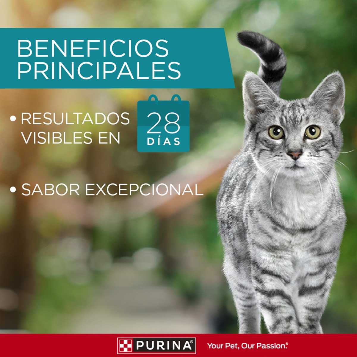 Purina ONE Gatos Multi Protn AdtYGtts 15x85gXI