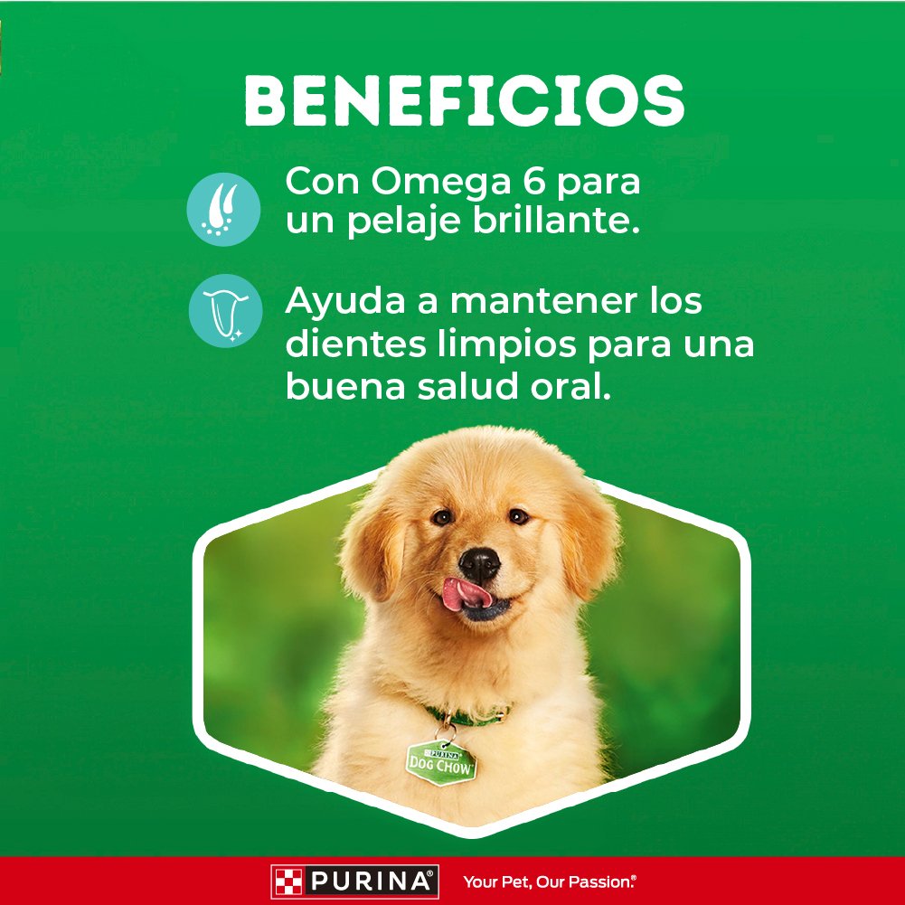 Dog Chow CHOW Galleta Perro FrgLei 16x300g
