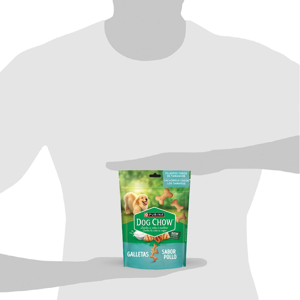 Dog Chow CHOW Galleta Perro FrgLei 16x300g