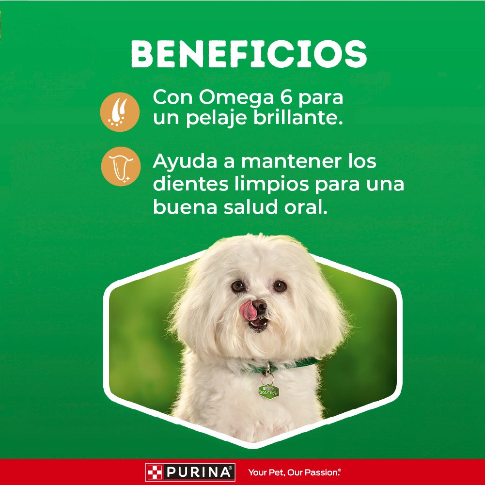 Dog Chow DOGCHOW GalletaPll MiniPeq 16x500gN1BR