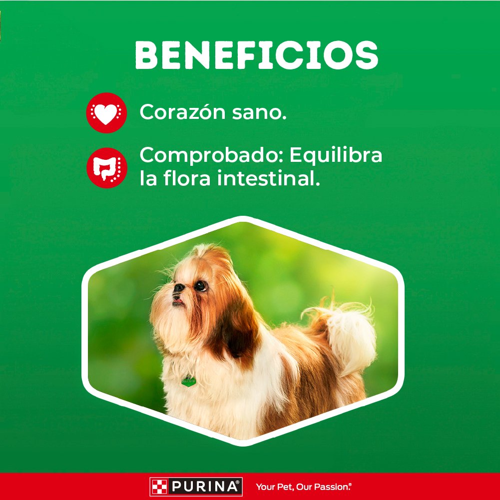 Dog Chow CHOW Adulto M/P 6x3kg