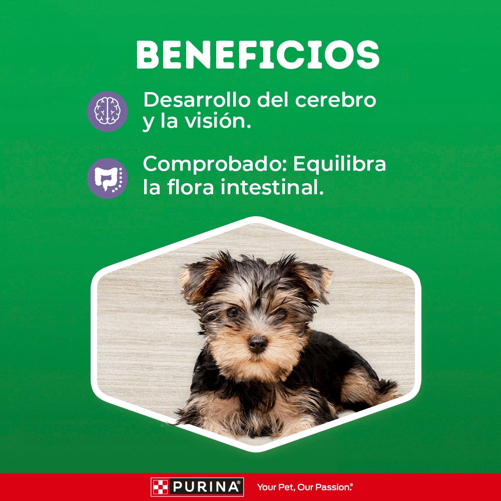 Dog Chow CHOW GranComienzo Ppy MnSml 21kg