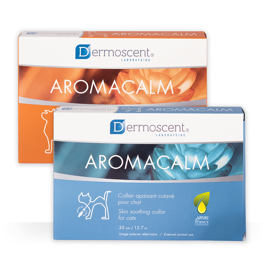 Dermoscent