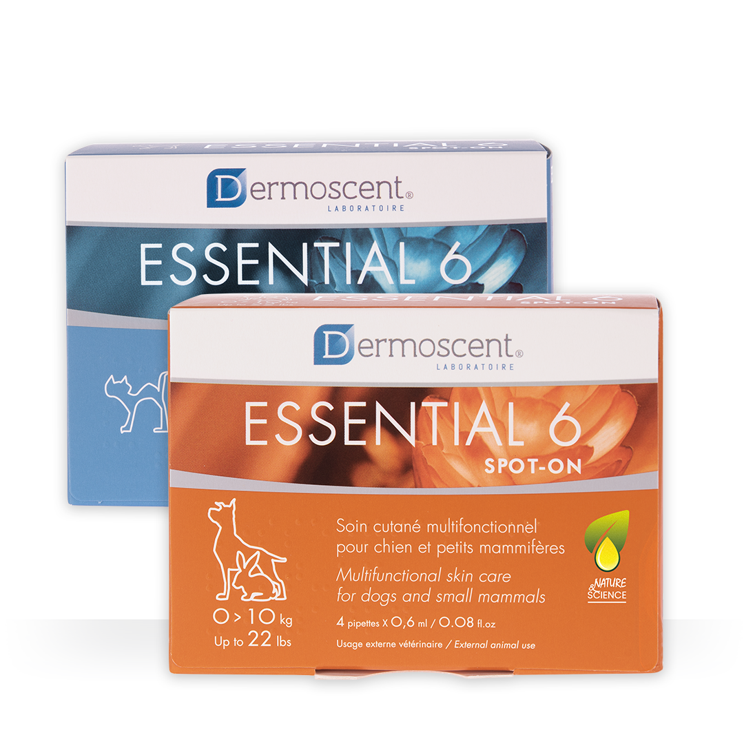 Dermoscent