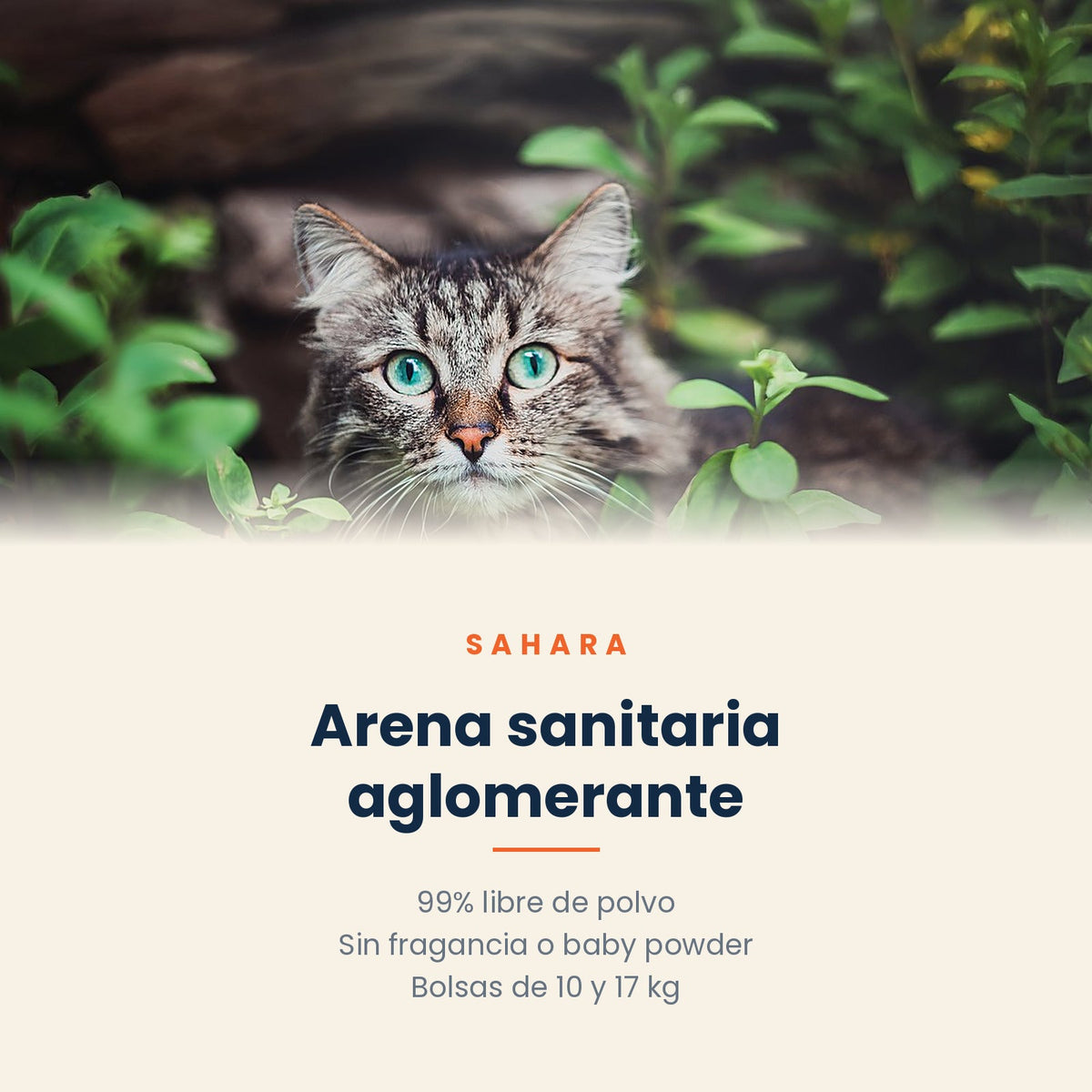 Arena sanitaria Sahara aglomerante
