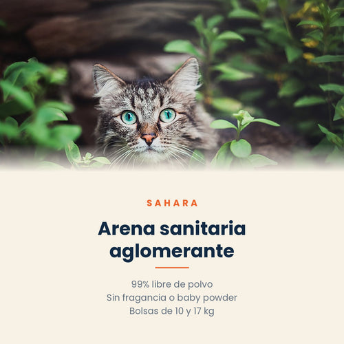 Arena sanitaria Sahara aglomerante