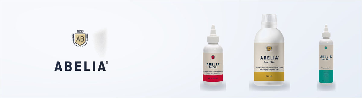 Abelia