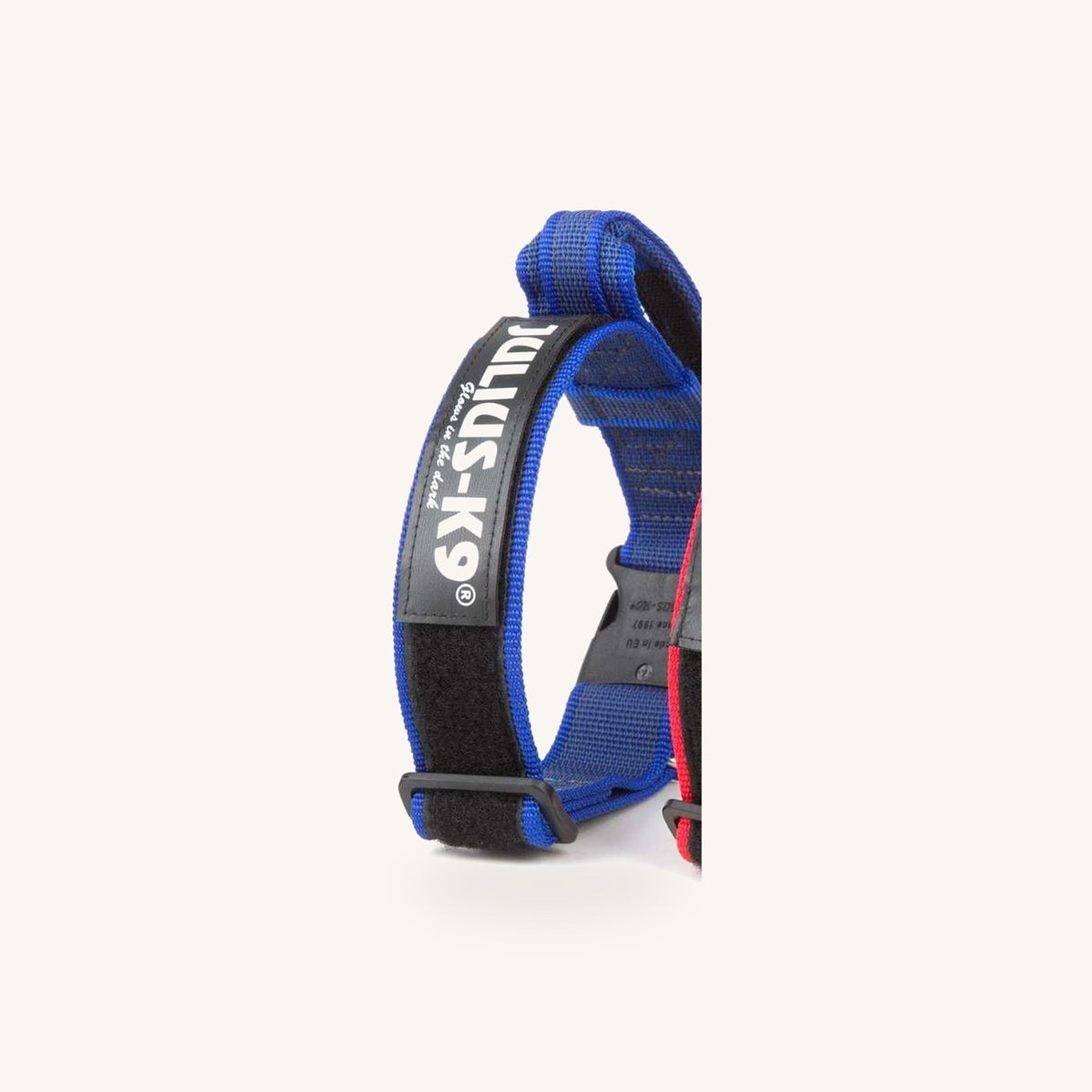 Julius-K9 c g series k9 collar asa 40mm