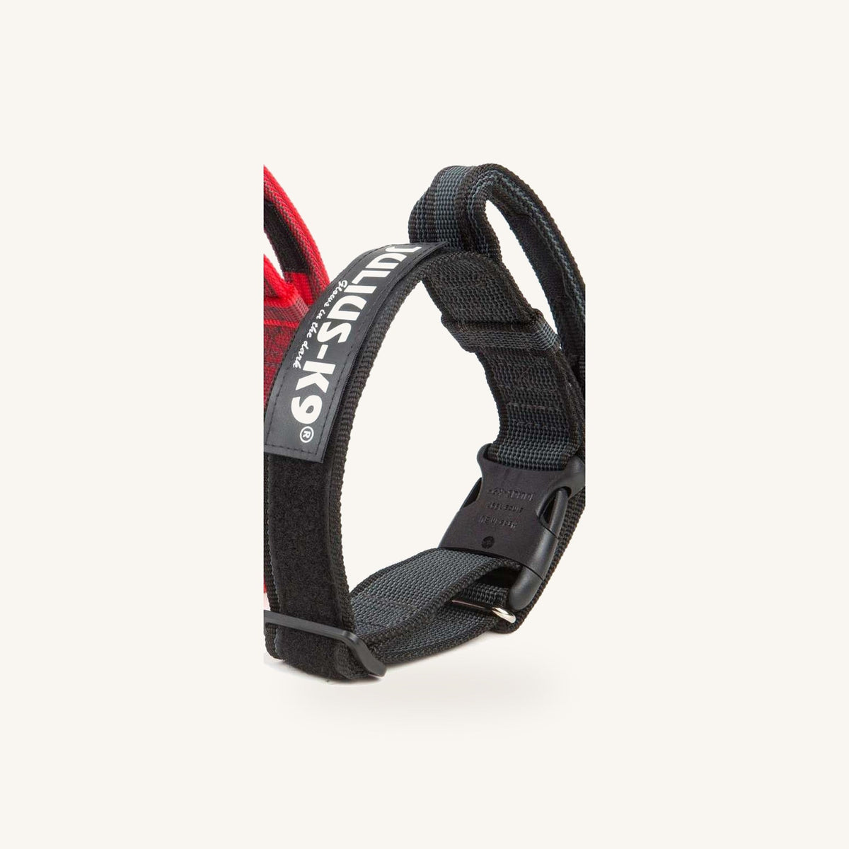 Julius-K9 c g series k9 collar asa bloqueo 50mm