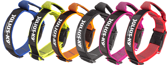 Collares Julius-K9 Color & Gray en sus seis colores