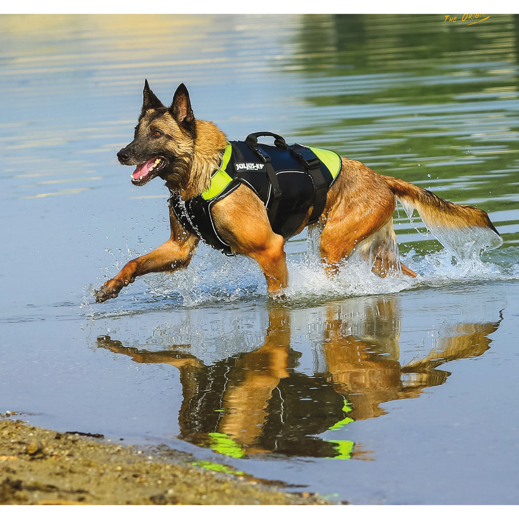Julius-K9 IDC Powerharness — Arnés