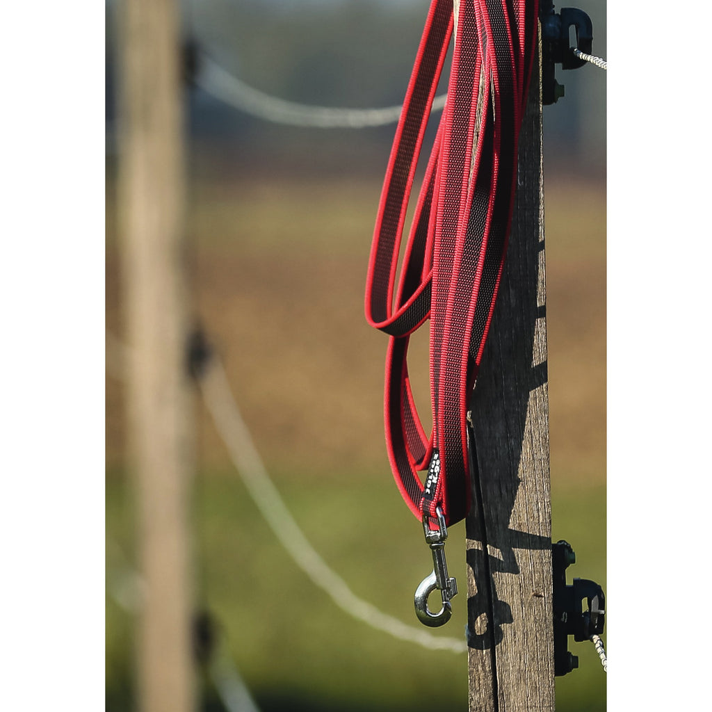 Julius-K9 C&G Super Grip Leash 20 mm × 1.2 m
