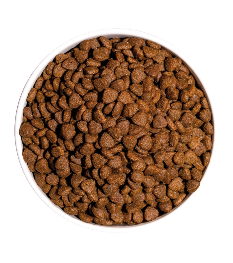 Ownat Classic Kitten Gatito 4 kg