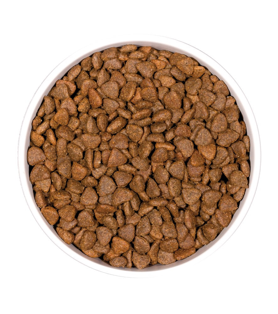 Ownat Grain Free Prime Kitten Gatito Pollo y Pavo 3 kg