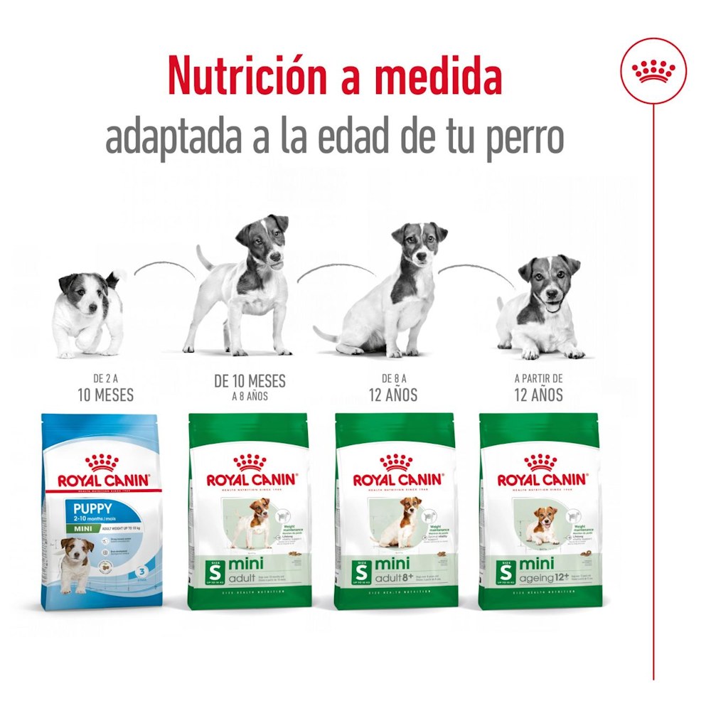 Royal Canin Mini Adulto 4 kg – nutrición adaptada a la edad