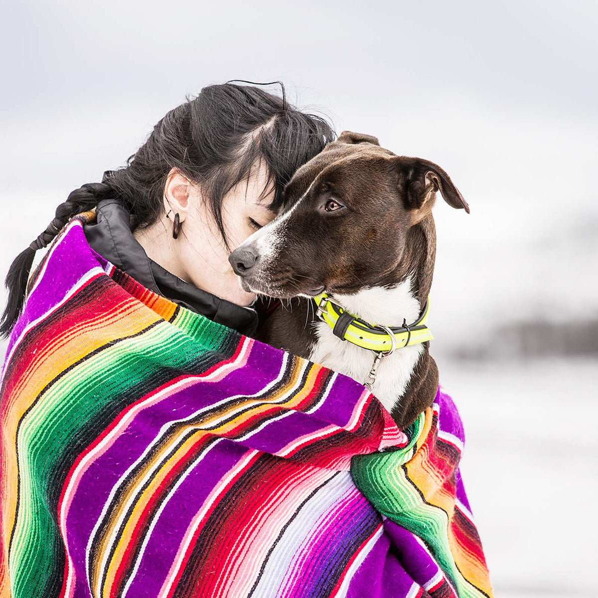 Perro con collar Julius-K9 abrazado por su dueña